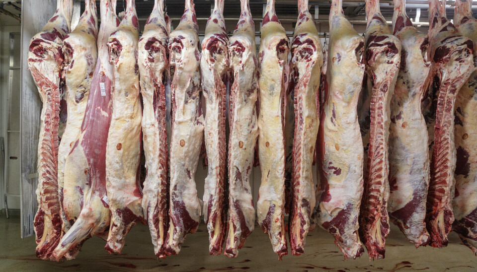 Totalimporten av landbruksvarer til Norge gikk opp i 2024, mens innførselen falt for kjøtt. Illustrasjonsbilde: Cornelius Poppe | NTB