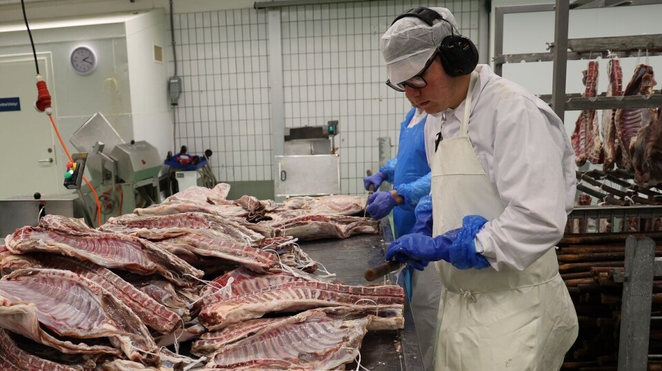Det kan bli knapt med kjøtt fra norsk storfe og gris til jul i år. En mulig løsning er import, varsler Nortura. Bildet viser operatør Sam Granberg hos Nortura i Sogndal med nok norsk kjøtt å jobbe med. Årets salg av julemat skjer i en økonomisk krevende tid. Nortura er spent. Operatør Sam Granberg hos Nortura i Sogndal har i alle fall hatt det travelt.