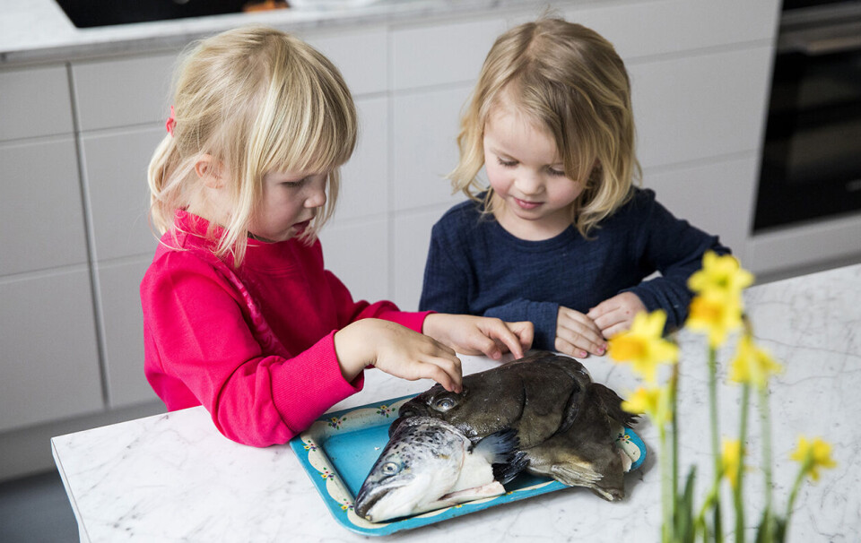 Hadde det gått etter barna, skulle de gjerne spist mer fisk, viser undersøkelser. Men helst stekt, selvsagt.