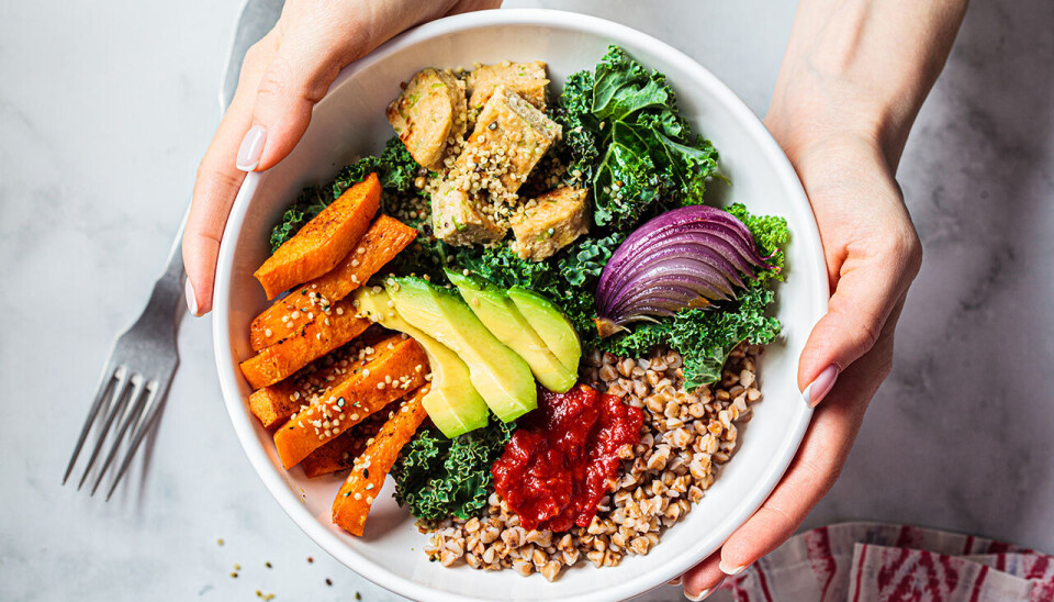 Stadig flere vegetarprodukter forsvinner ut av norsk matbutikkhyller. Ikke fordi etterspørselen er så stor, men fordi den er svært lav, ifølge matvarekjedene Coop og Norgesgruppen.