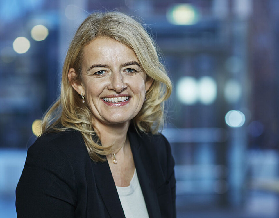 Mattilsynets direktør Ingunn Midttun Godal.