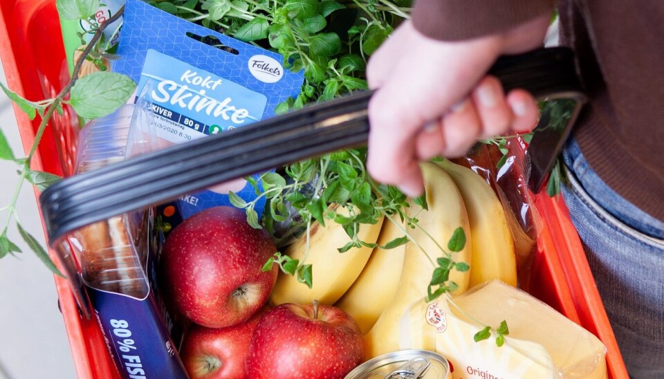 Av de 100 tonn med økologiske epler og plommer som ble levert til fruktlageret i fjor, ble bare 15 tonn solgt som økologiske varer i matbutikker.