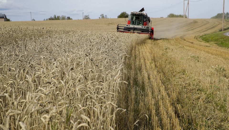 Budsjettnemnda for jordbruket har lagt fram tallgrunnlaget for jordbruksoppgjøret. Arkivbildet er fra Sørum i Lillestrøm kommune.