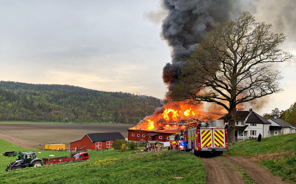 Et grisefjøs ble totalskadet i en brann på Ramnes i Tønsberg. Alle dyr ble reddet i dette tilfellet. Illustrasjonsfoto: Vestfold Interkommunale Brannvesen | NTB
