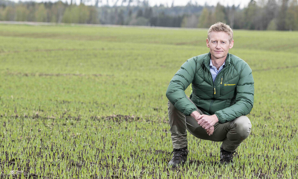 Pen omsetningsvekst for Felleskjøpet