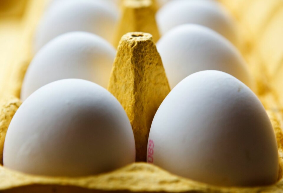 – Det vil være behov for import av egg i forkant av påsken på grunn av generell underdekning i markedet, mener kategori- og innkjøpsdirektør Line Aarnes i Rema 1000, basert på matkjedens egne prodnoser.