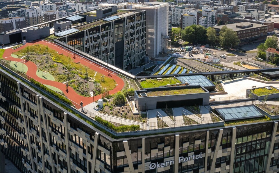 Helikopterblikk på Nord-Europas største takhage hvor det dyrkes frukt og grønt.