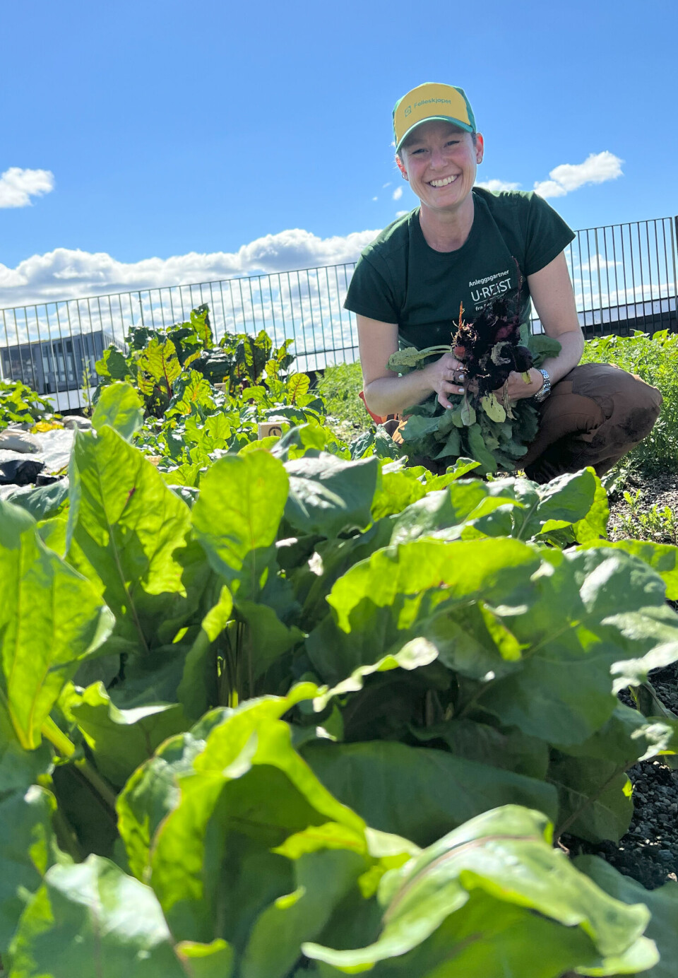 Erin Dumbauld, bybonde og gartner i firmaet U. Reist, er sjefen for den høyt liggende hagen.