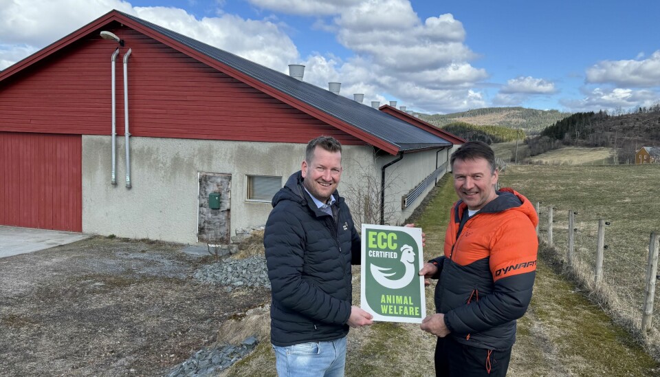 Lars Petter Bartnes (til høyre) er ny produsent i Norsk Kylling. Her sammen med produksjonsdirektør i Norsk Kylling, Tor Inge Lien.