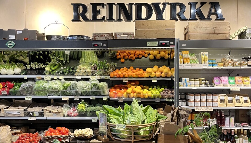 Økobutikken Reindyrka i Bergen selger mye grønnsaker, men mest epler. Reindyrka selger mye grønnsaker og mest epler.