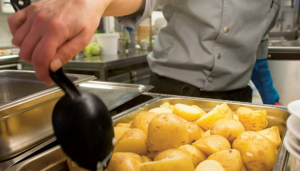 Skal en matvare benyttes i kantiner, må den passe inn i et hektisk tidsskjema hvor måltidene serveres på morgenen og på formiddagen. Det er kanskje derfor vi har havnet i situasjonen hvor halvfabrikata og snacks har fått en så fremtredende rolle i skolekantiners meny, mener Matvalget.
