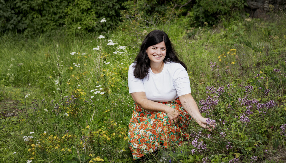 – Det vi mennesker ser på som «ugress», er viktige næringskilder for insekter, minner Karoline Andaur om.