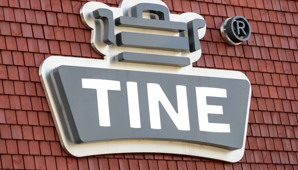 Tine avviser at avgiften er et forsøk på å bli kvitt de minste melkebrukene.