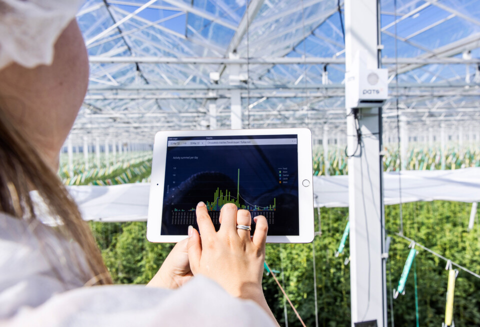 Norge har en unik mulighet til å gå foran innen digitalisering og innovasjon i landbruket. Ved å implementere digitale løsninger og avanserte overvåkningsteknologier, kan vi forbedre metodene for biologisk plantevern, skriver Silje Stenstad Nilsen.