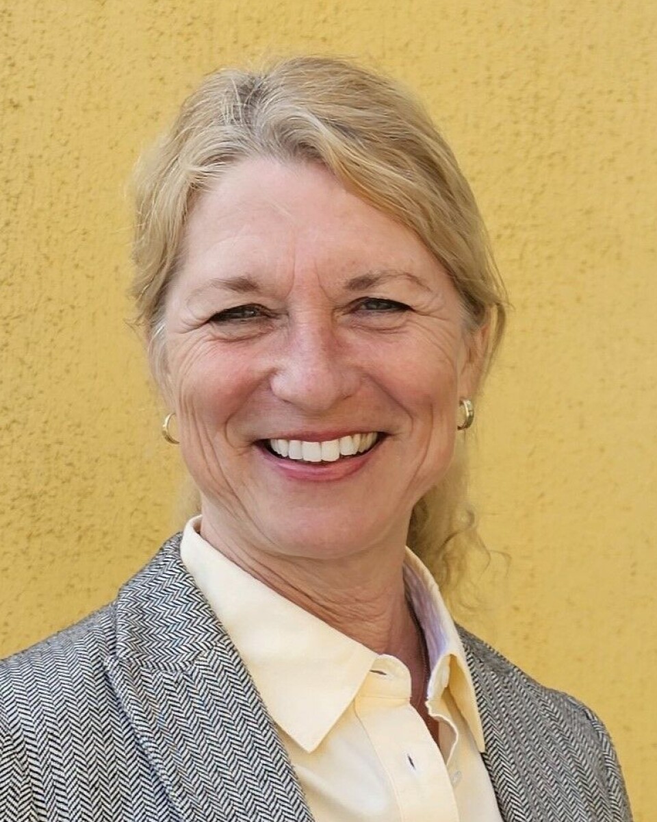 – Norsk honning er trygg å spise, forsikrer Katrine Røed Meberg, generalsekretær i Norges Birøkterlag.