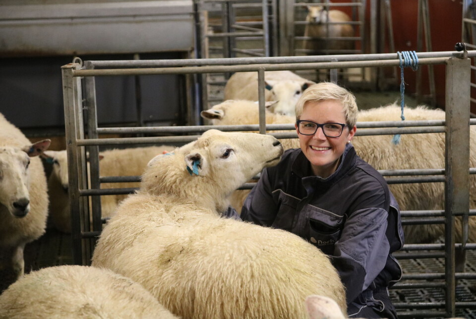 Bodhild Fjelltveit er sauebonde og 2. nestleder i Norges Bondelag. Hun driver ikke økologisk selv.