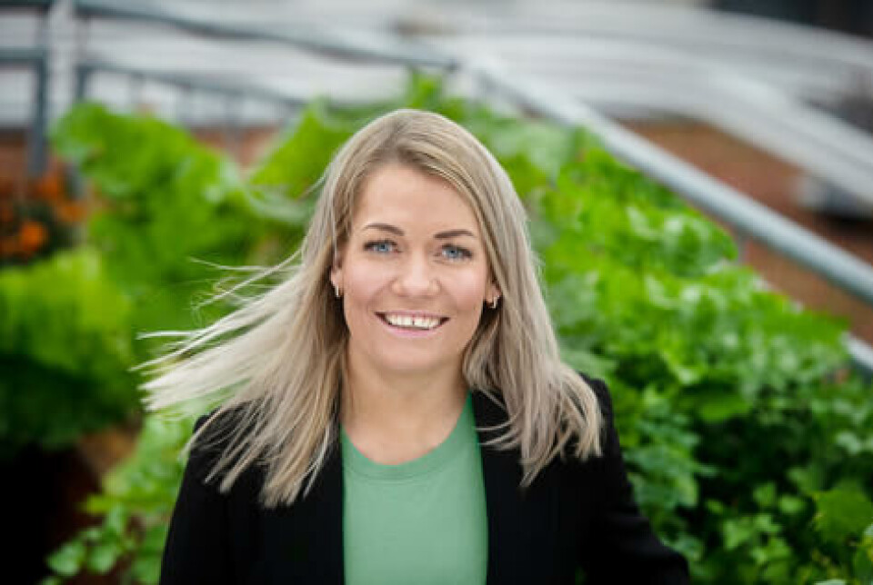Sandra Borch kan ikke svare på hva formuleringene i Hurdalsplattformen vil bety for videreutviklingen av politikken for økologisk jordbruk i Norge.