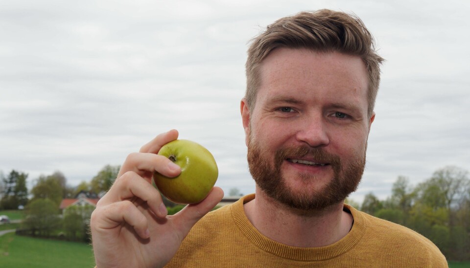 Nofimas Mads Erling Pedersen har forsket på norske og utenlandske eplers utseende og sett nærmere på hvilke ytre egenskaper som gjør dem populære.