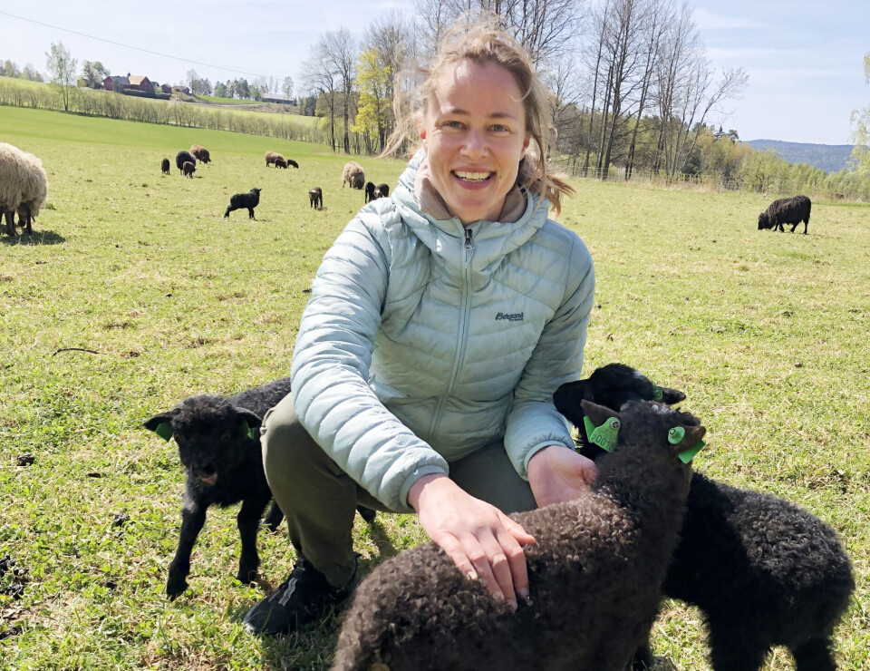 Stina Mehus, styreleder i Økologisk Norge og økobonde på en gård i Drøbak, vil at øko-landbruket skal stå i front med sine erfaringer med et strengere regelverk for husdyrhold i Norge. Stina Mehus er styreleder i Økologisk Norge og driver Eiketoppen gård i Drøbak. Hun selger både lammekjøtt og kalvekjøtt i tillegg til 
skinnfeller fra sauene.