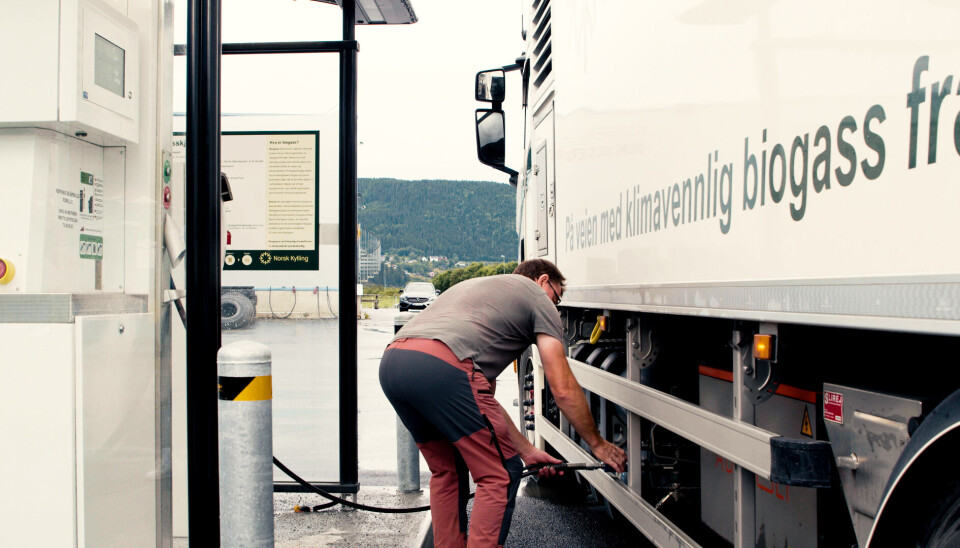 Norsk Kylling har åpnet en kommersiell fyllestasjon for biogass. Overgangen har redusert klimautslippene fra eggtransporten med 70 prosent.