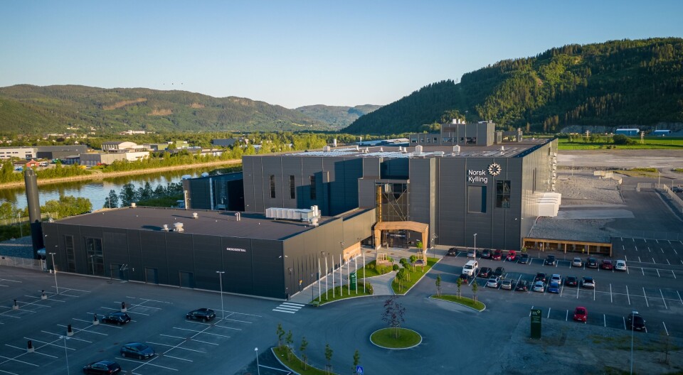 Norsk Kyllings slakteri og foredlingsanlegg på Orkanger drives helt og holdent med fornybar energi.