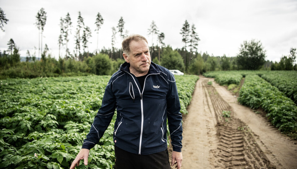 Morten Tømte har tidligere drevet jordbruk på Tømte gård i Eidsvoll, der de dyrker mye poteter. Nå leder han Akershus Bondelag.