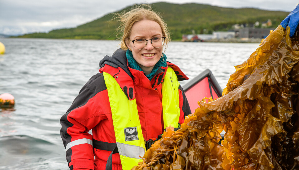 Marthe Jordbrekk Blikra fra Nofima har sammen med forskerkollegaer opparbeidet seg stor kompetanse på lagring og prosessering av tang og tare. Her er hun på jakt etter sukkertare utenfor Kvaløya.