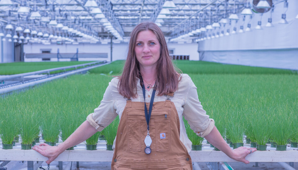 Silje Stenstad Nilsen, biolog og gründer, utfordrer partiene til å ta biologisk plantevern inn i valgprogrammene og sørge for de nødvendige vedtakene. Det er på høy tid, mener hun.