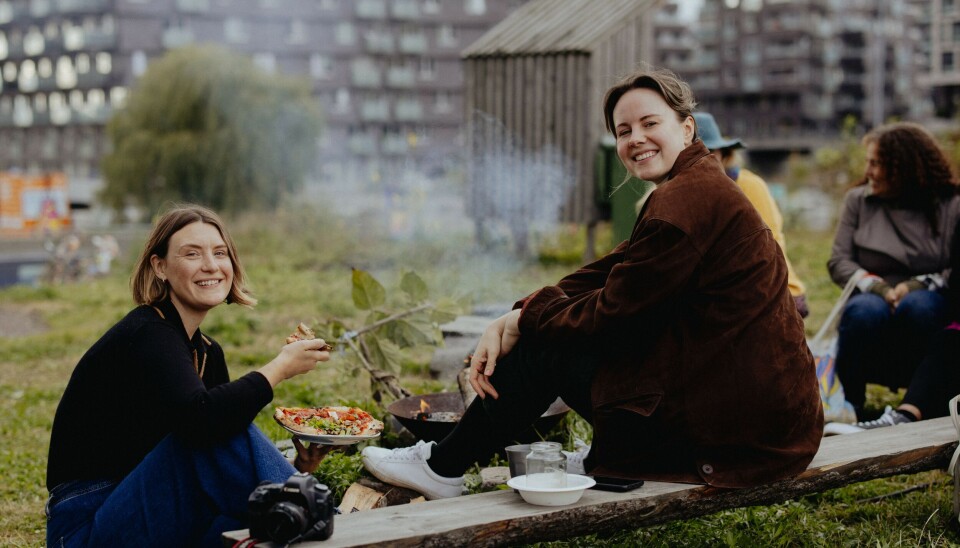 Grønn oase: Glimt fra et tidligere øko-arrangement i Losæter, en kulturpark med spiselige planter i Bjørvika i Oslo. Den startet som et kunstprosjekt i 2011.