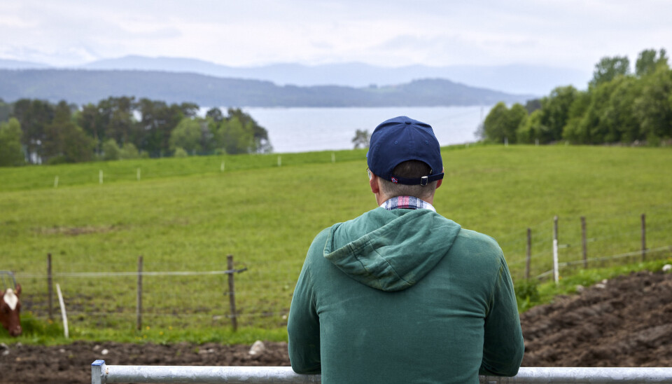 Bondesamvirkets utvidede tilbud skal bidra til at nystartede bønder står bedre rustet til å møte de økonomiske utfordringene som ofte følger i etableringsfasen de første årene.