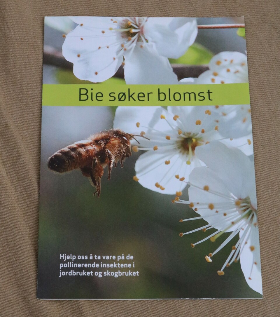 Viktig info om bienes funksjon fikk du få med gratis på kjøpet.