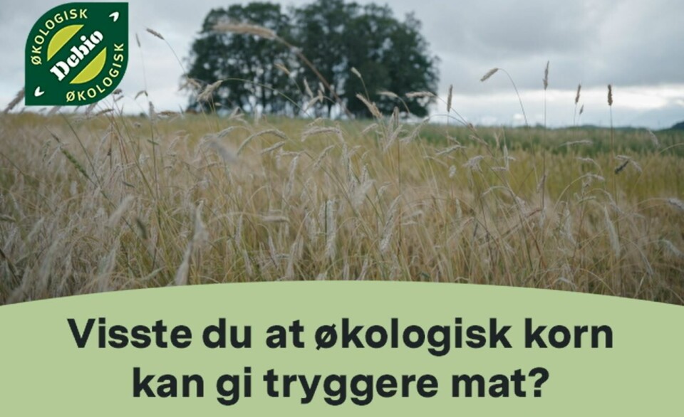 Klipp fra kampanjen. Video: Stiftelsen Norsk Mat