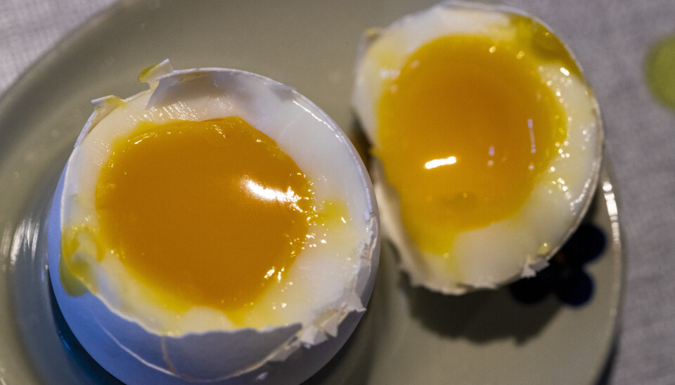 Kun 4.520 tonn av totalt innveide egg i 2023 var økologiske, nesten 10 prosent mindre enn året før.