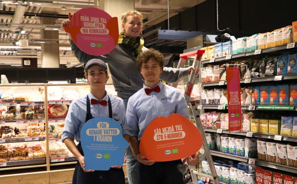 Marika Berglind-Ekman, prosjektleder for Nudging Organic/Handla ekologiskt-kampanjen, sammen med to butikkansatte fra ICA Kvantum Hornstull i Södermalm. Her med de siste forberedelsene før den storstilte øko-kampanjen braket løs.
