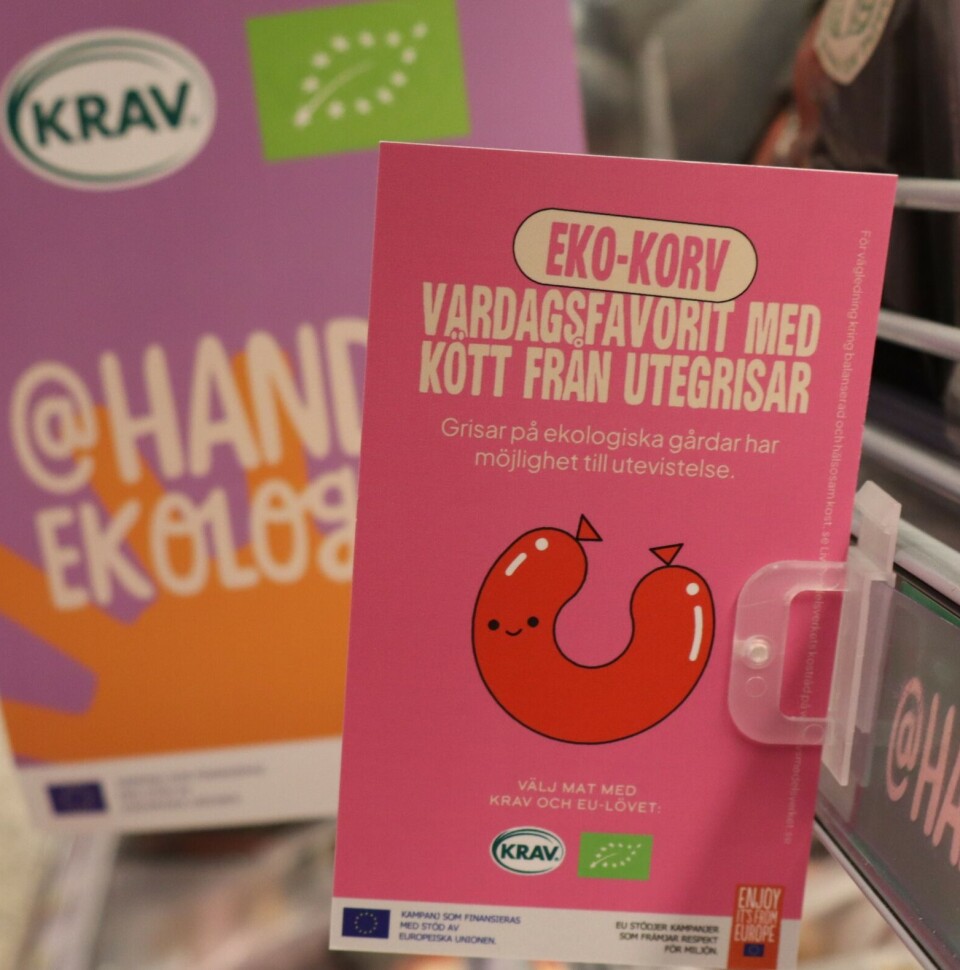 På økologiske gårder får dyra mer tid under åpen himmel, forklarer de forseggjorte skiltene.