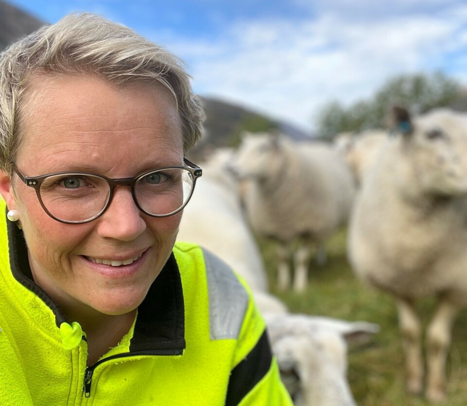 Én av utfordringene i dag er å få økoproduktene ut i markedet, altså inn i dagligvarebutikkene, poengterer Bodhild Fjelltveit i Norges Bondelag. Hun er optimist og mener at en økologisk andel på 10 prosent av totalproduksjonen er et realistisk mål som kan nås.