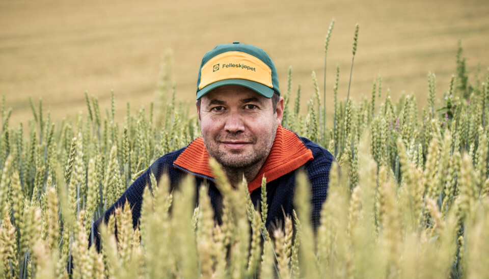 Landbruks- og matminister Geir Pollestad og departementet jobber fortsatt med en ny versjon av den nasjonale øko-strategien. I løpet av våren skal den endelig være klar.