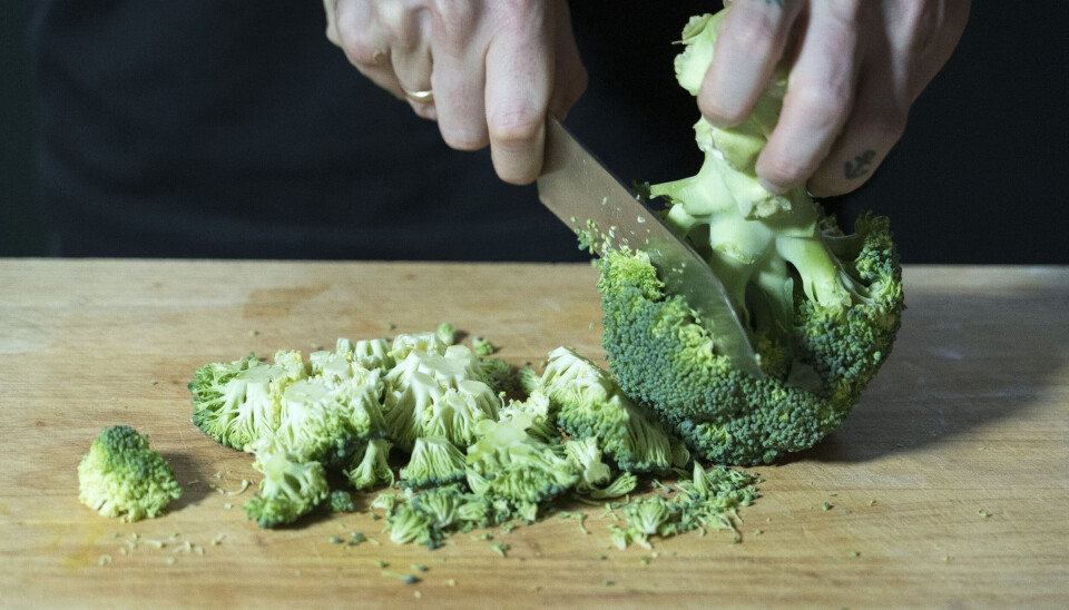 Veganisme er ikke bare plantebasert mat. Det er også et livssyn, mener Norsk vegansamfunn (NVS). Veganisme er ikke bare plantebasert mat. Det er også et livssyn, mener Norsk vegansamfunn (NVS).