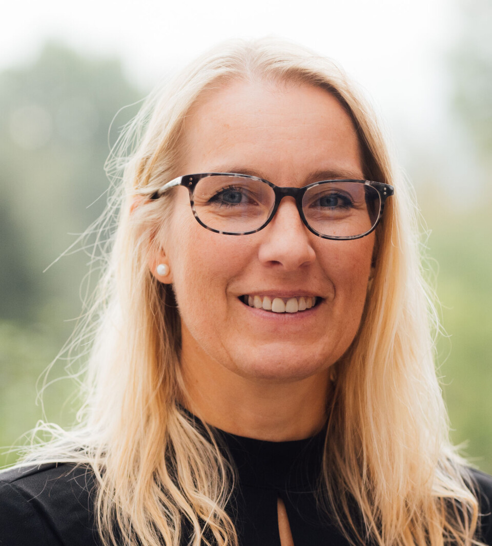 Christine Hvitsand er seniorforsker PhD ved Telemarksforsking og forskergruppeleder for Grønn omstilling.