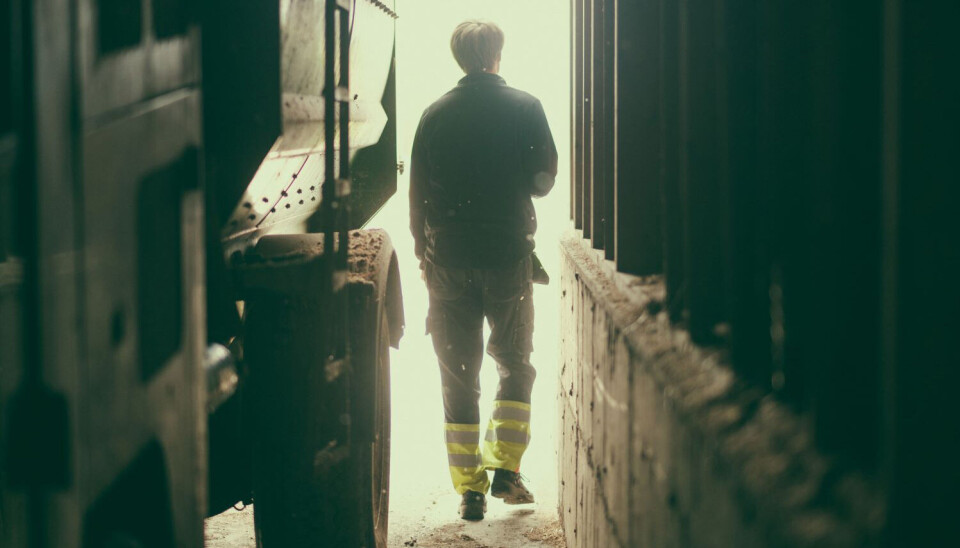 Bøndene mener at folks syn på yrket deres har snudd til det mer positive, viser ny undersøkelse. Bøndene mener synet på yrket deres har snudd, viser ny undersøkelse.