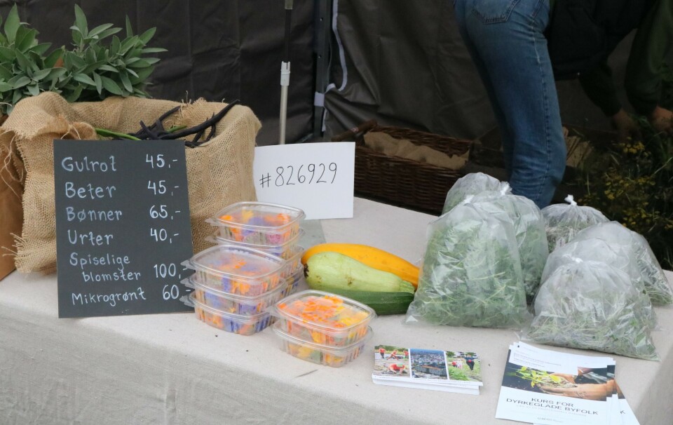 Urter og spiselige blomster av norsk opprinnelse, fotografert på Matstreif og Bondens marked. En ny veileder skal gi hjelp til importører slik at de kan sjekke ektheten og opprinnelsen av urter og krydder.