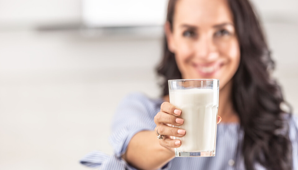 Melk er sunt, året rundt. Økologisk melk fortsetter sin oppløftende salgsutvikling.
