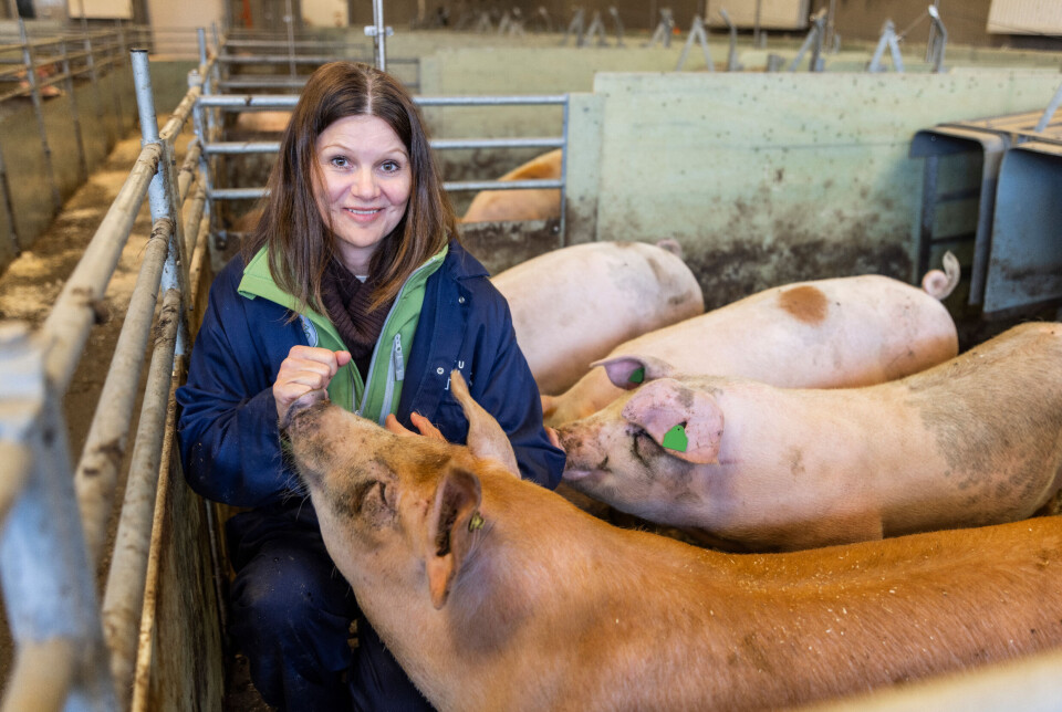 For grisene ville det være fint om flere bønder la om driften til å oppfylle kravene i Ø-merket eller Dyrevernmerket. Det har regjeringen ingen planer om å bidra til, skriver Live Kleveland.