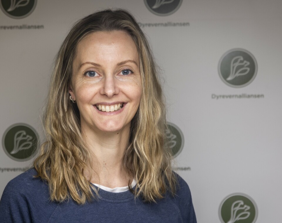 Helle Haukvik er fagleder i Dyrevernalliansen.