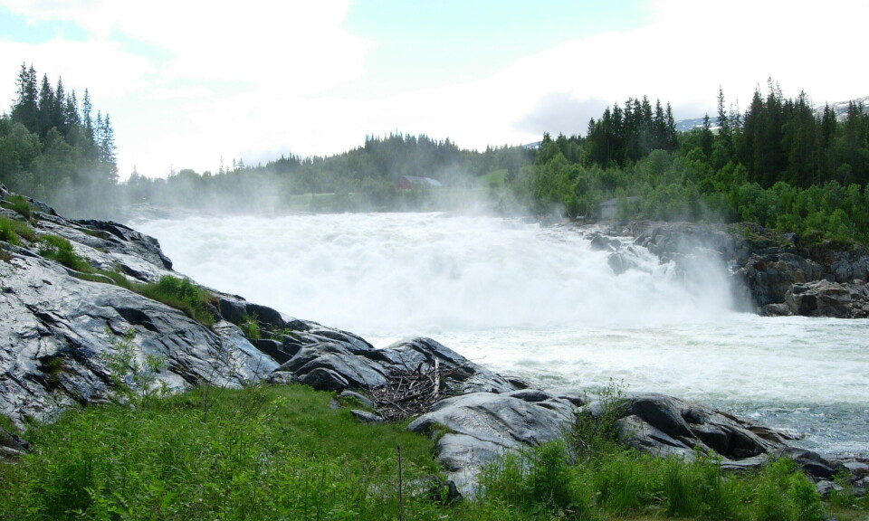Naturvernerne mobiliserer mot kraftutbygging i verna vassdrag
