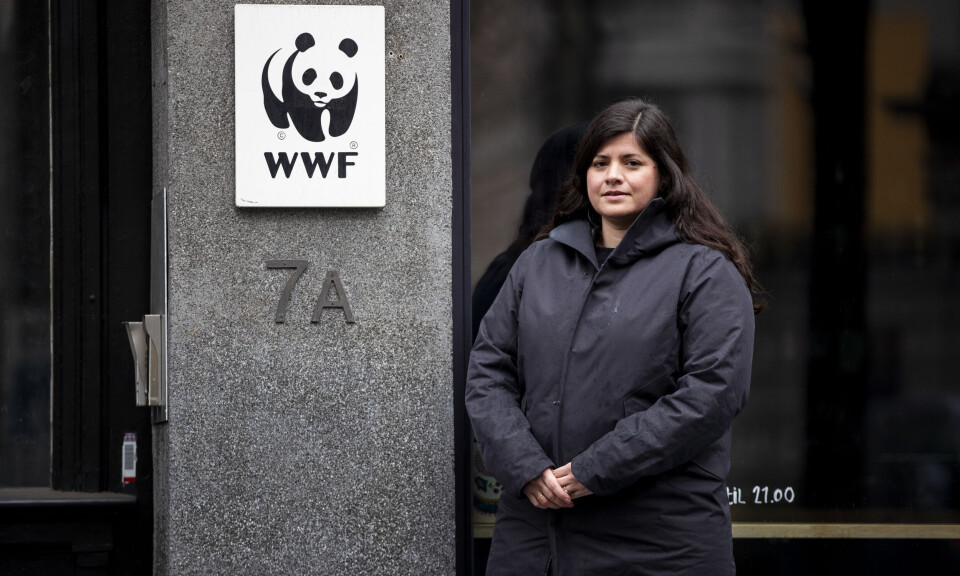 Tapte søksmål om gruvedrift på havbunnen