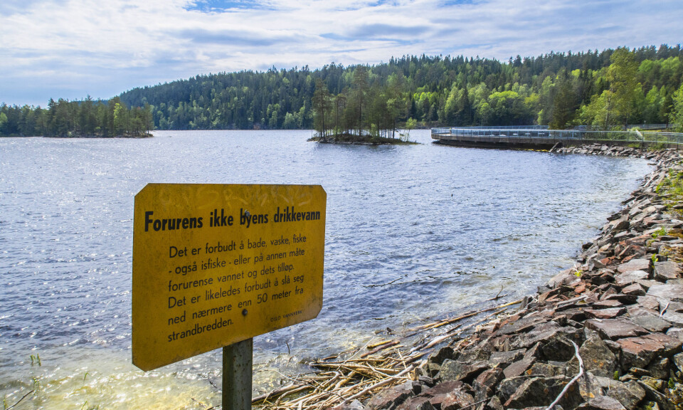 Søknad til omstridt skogsbilvei i Østmarka er innvilget