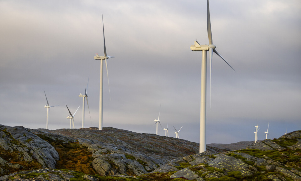 Vindkraft: Staten krever egenandel av frivillige som vil rette opp naturskadene