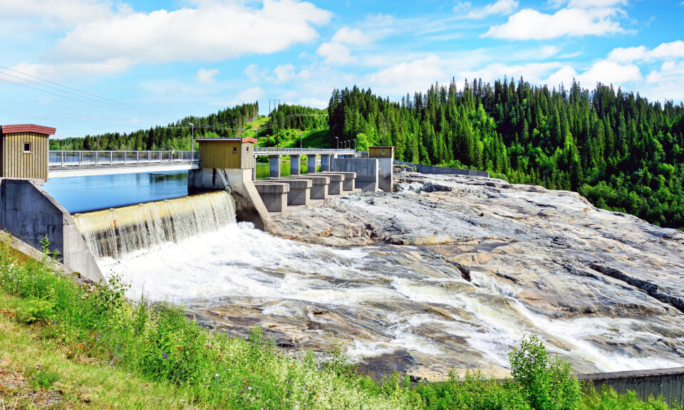 Etterlyser tiltak mot fiskedød i norske vannkraftturbiner