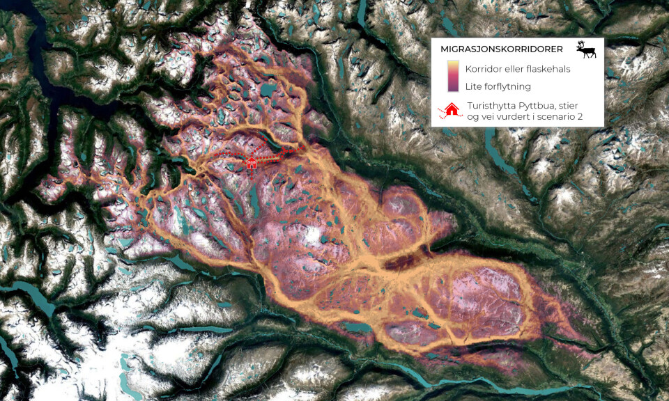 Simulerer fjerning av DNT-hytte i Reinheimen